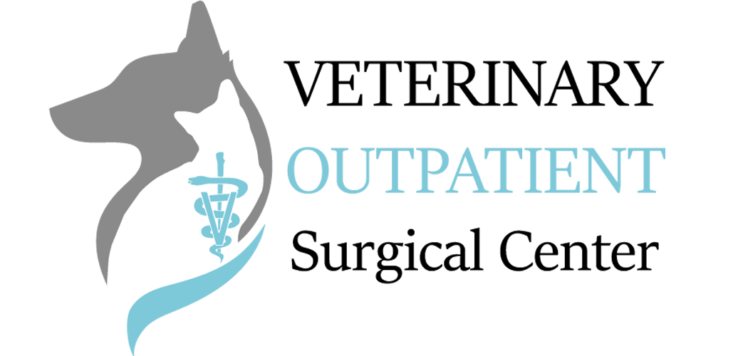 Veterinary Outpatient Surgical Center